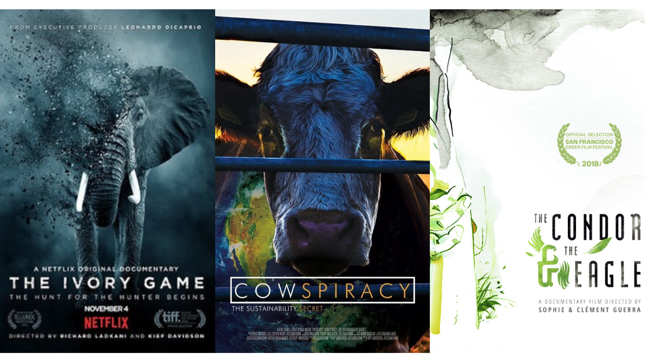 The Ivory Game (Netflix), Cowspiracy, The Condor and the Eagle