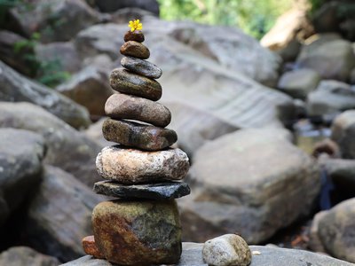 Photo of a yellow flower on top of a pile of rocks by Anupa Anusas on Pexels