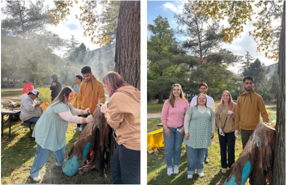 Side by side photos of the hide tanning event featuring the UASU VPs and ISU President